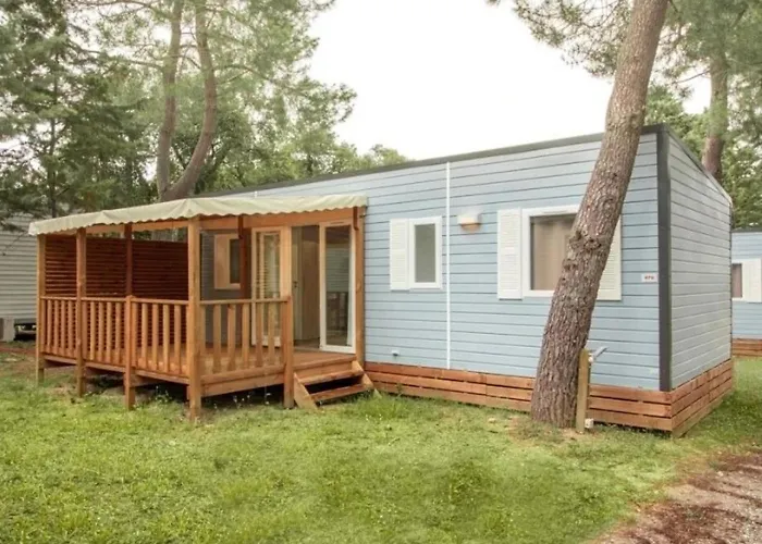 4 étoiles - Parc Aquatique - Ccadfdf Saint-Jean-de-Monts